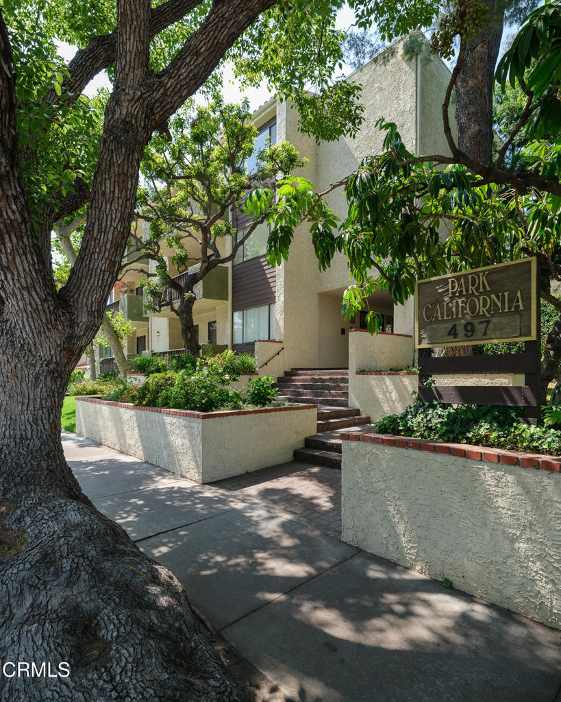 497 E California Boulevard 203