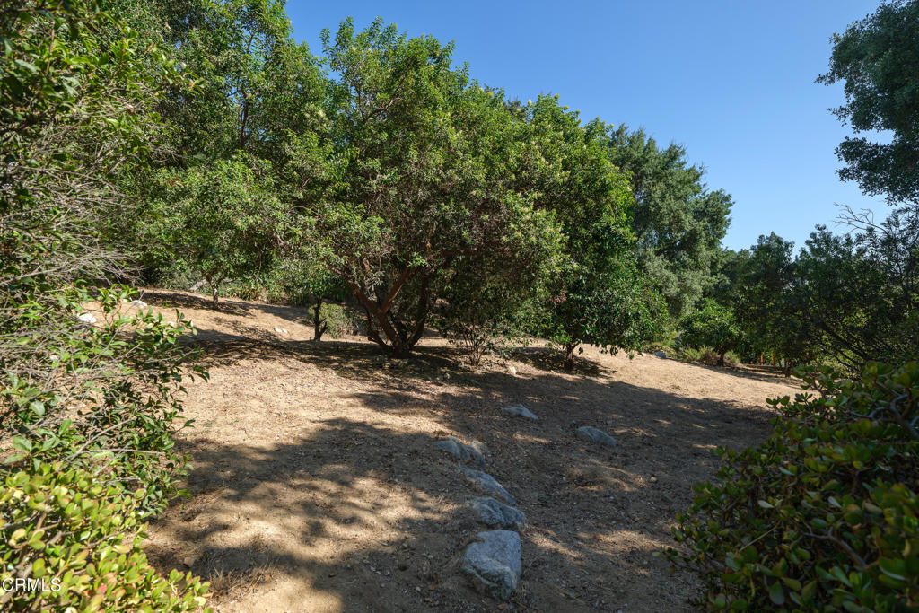 3273 New York Drive