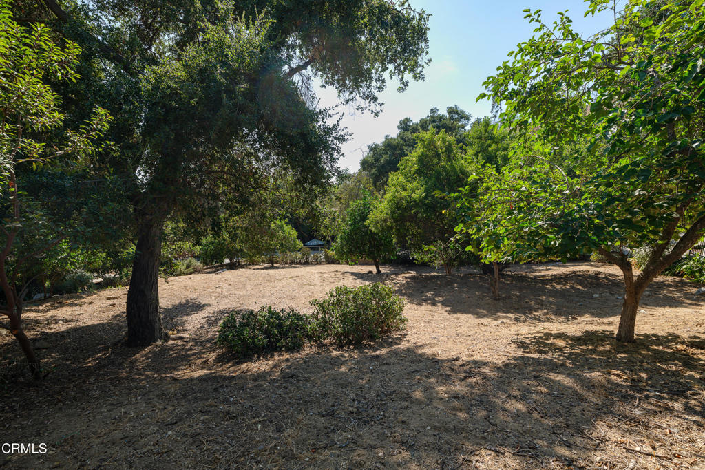 3273 New York Drive