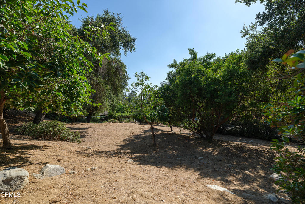 3273 New York Drive