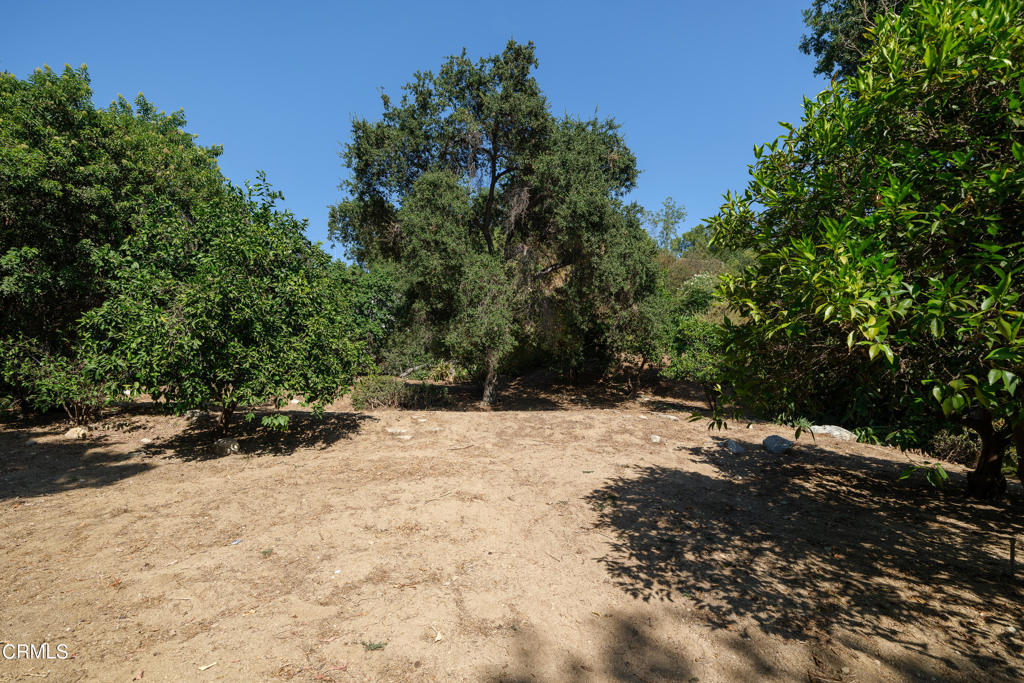 3273 New York Drive
