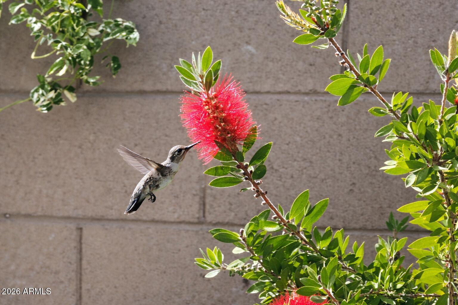 19607 W BADGETT Lane