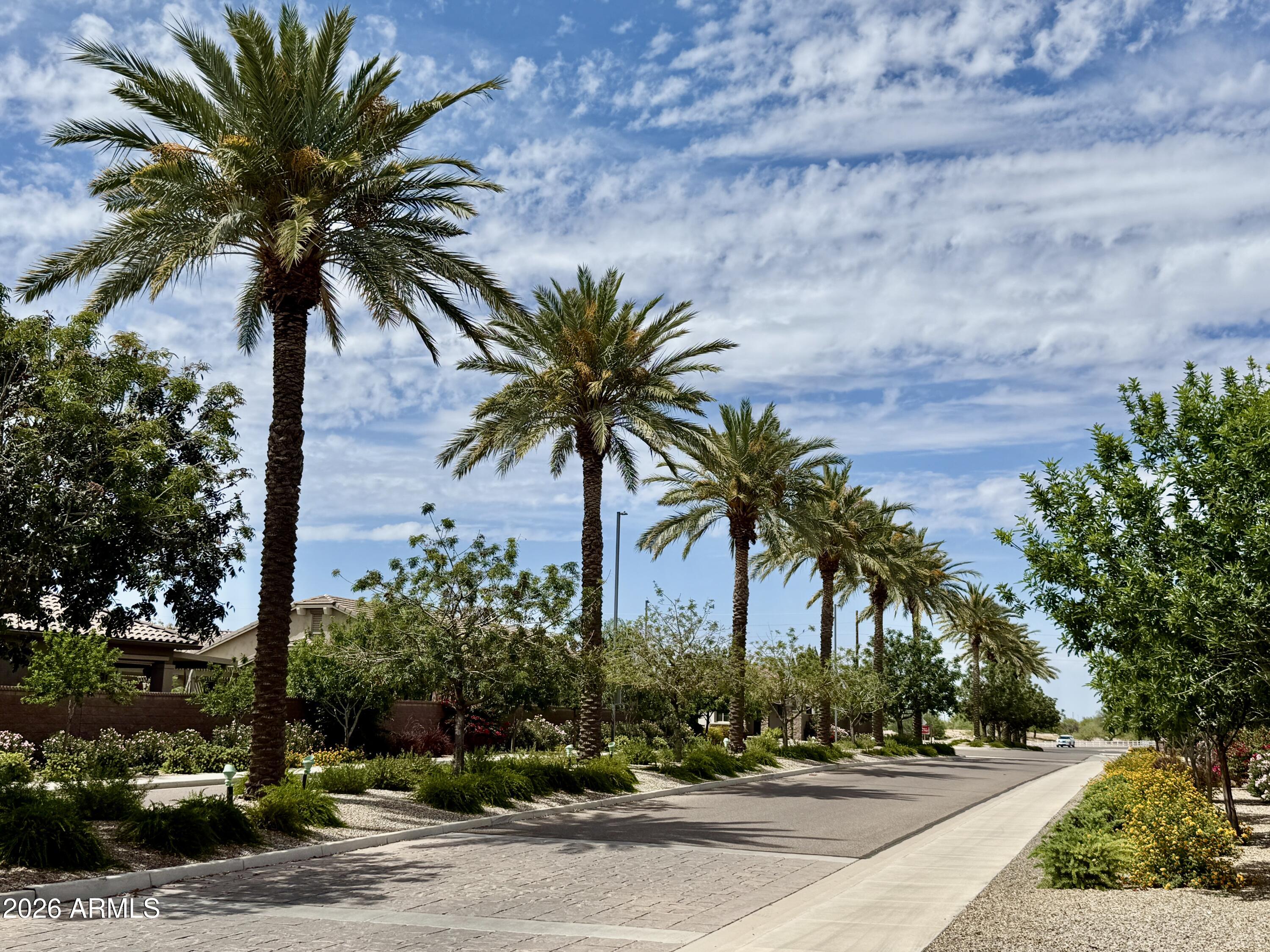 449 E LAS COLINAS Place