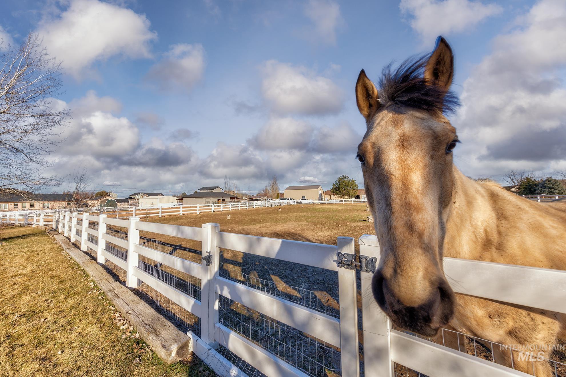 13378 Skyview Street