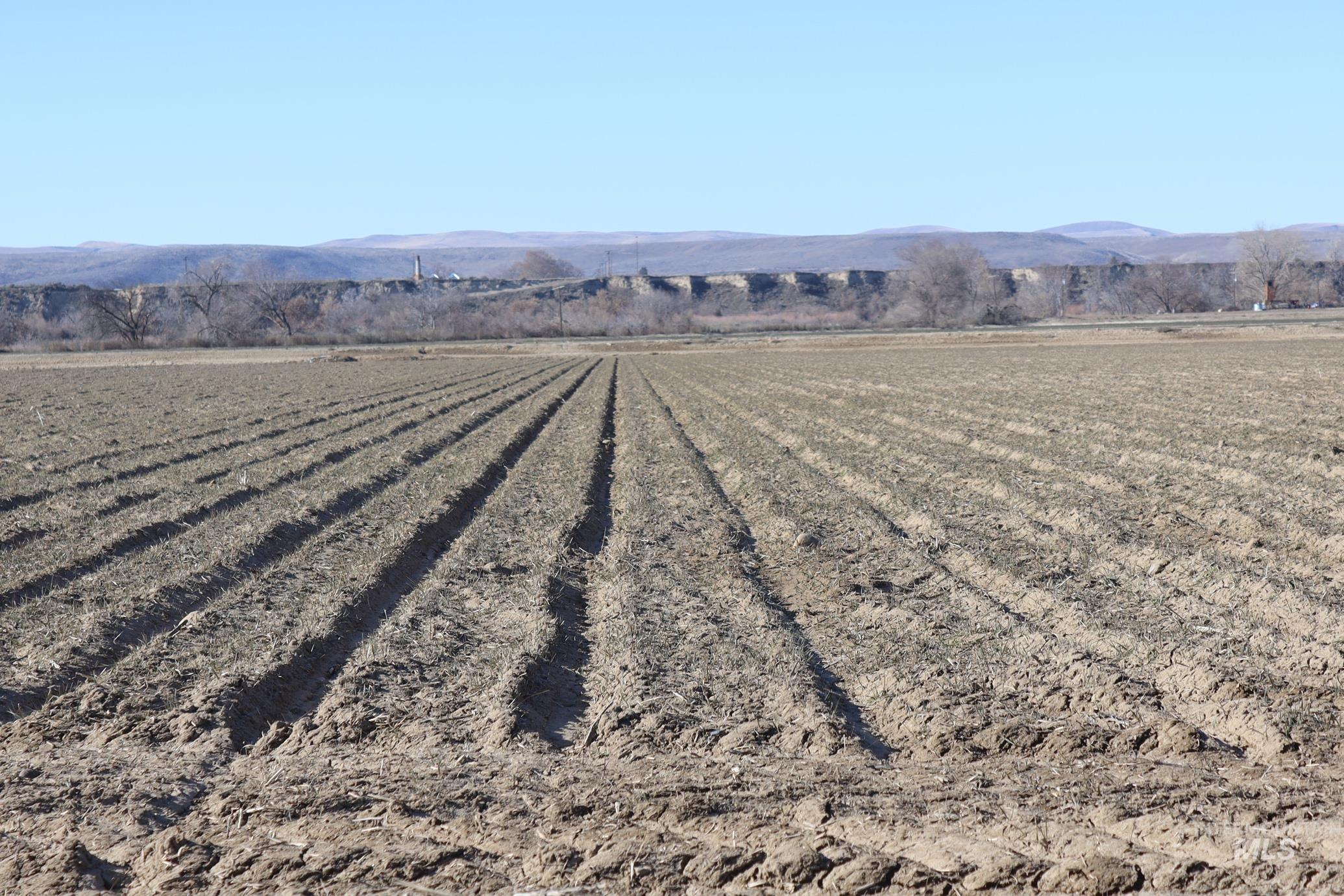 TBD Hansen Road