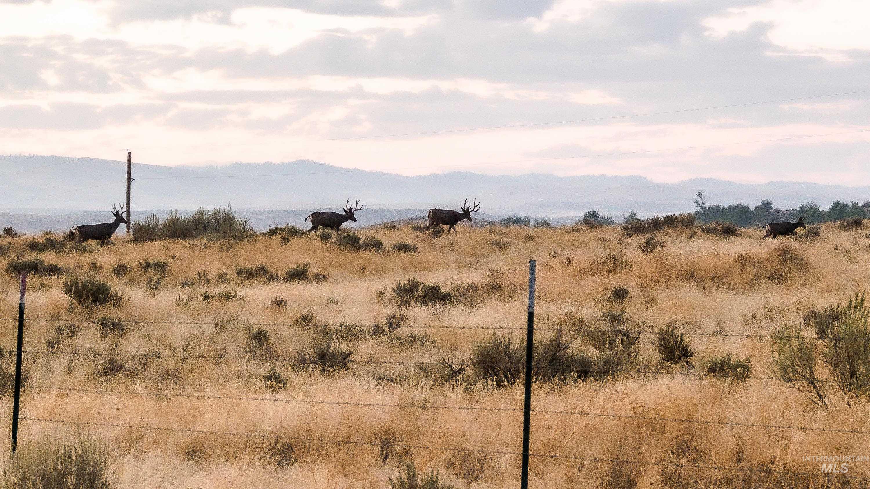 240 Indian Valley Road