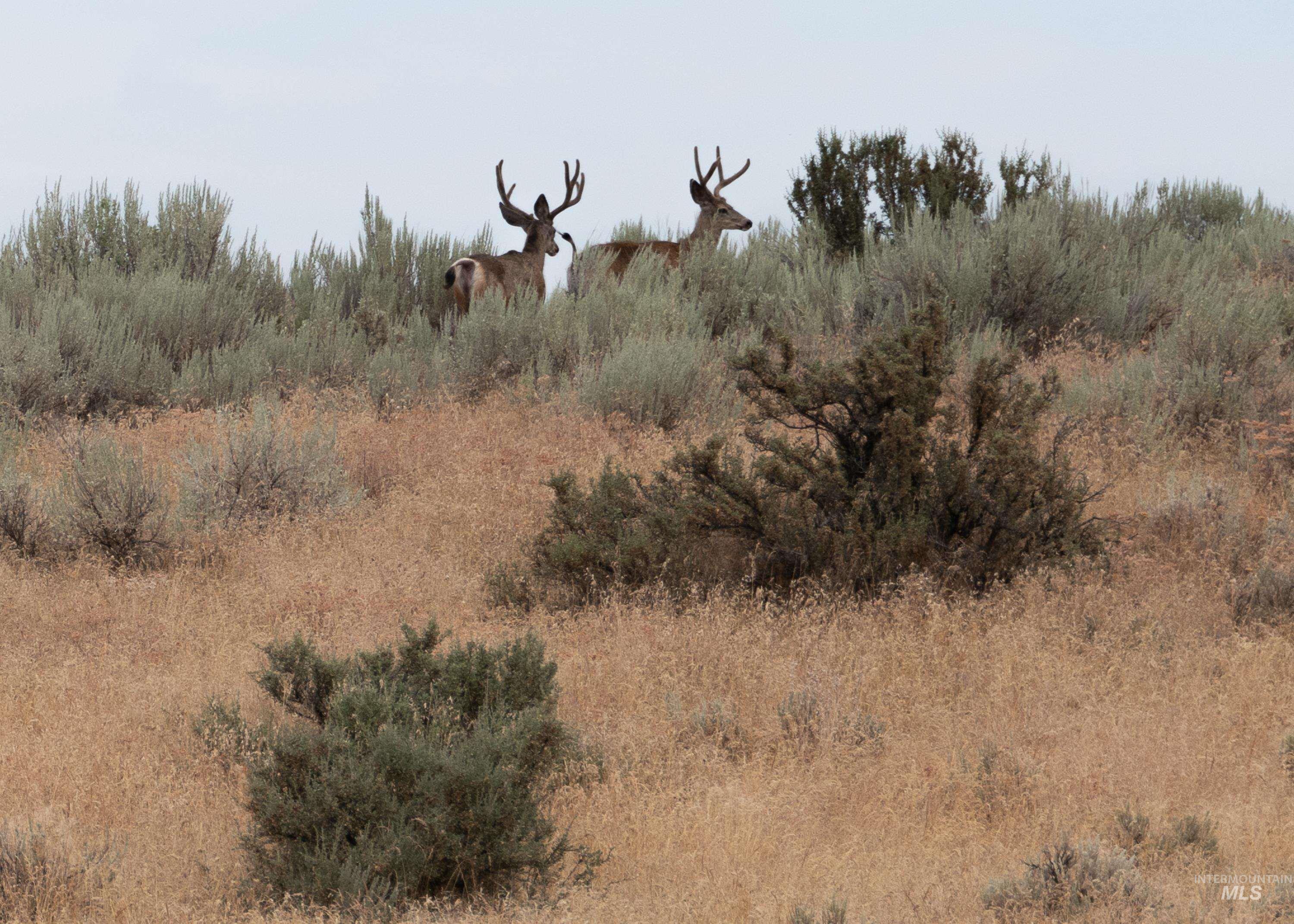 240 Indian Valley Road