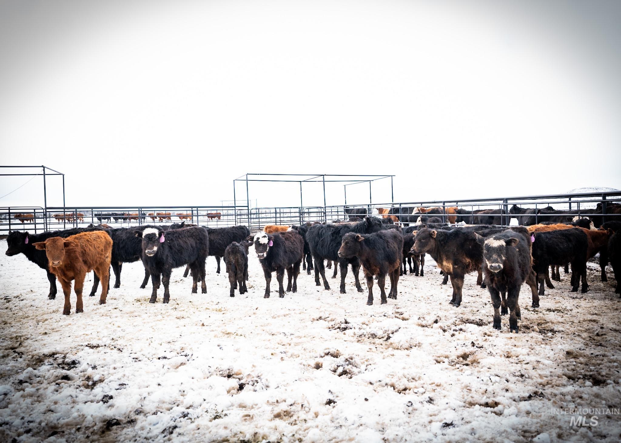 240 Indian Valley Road