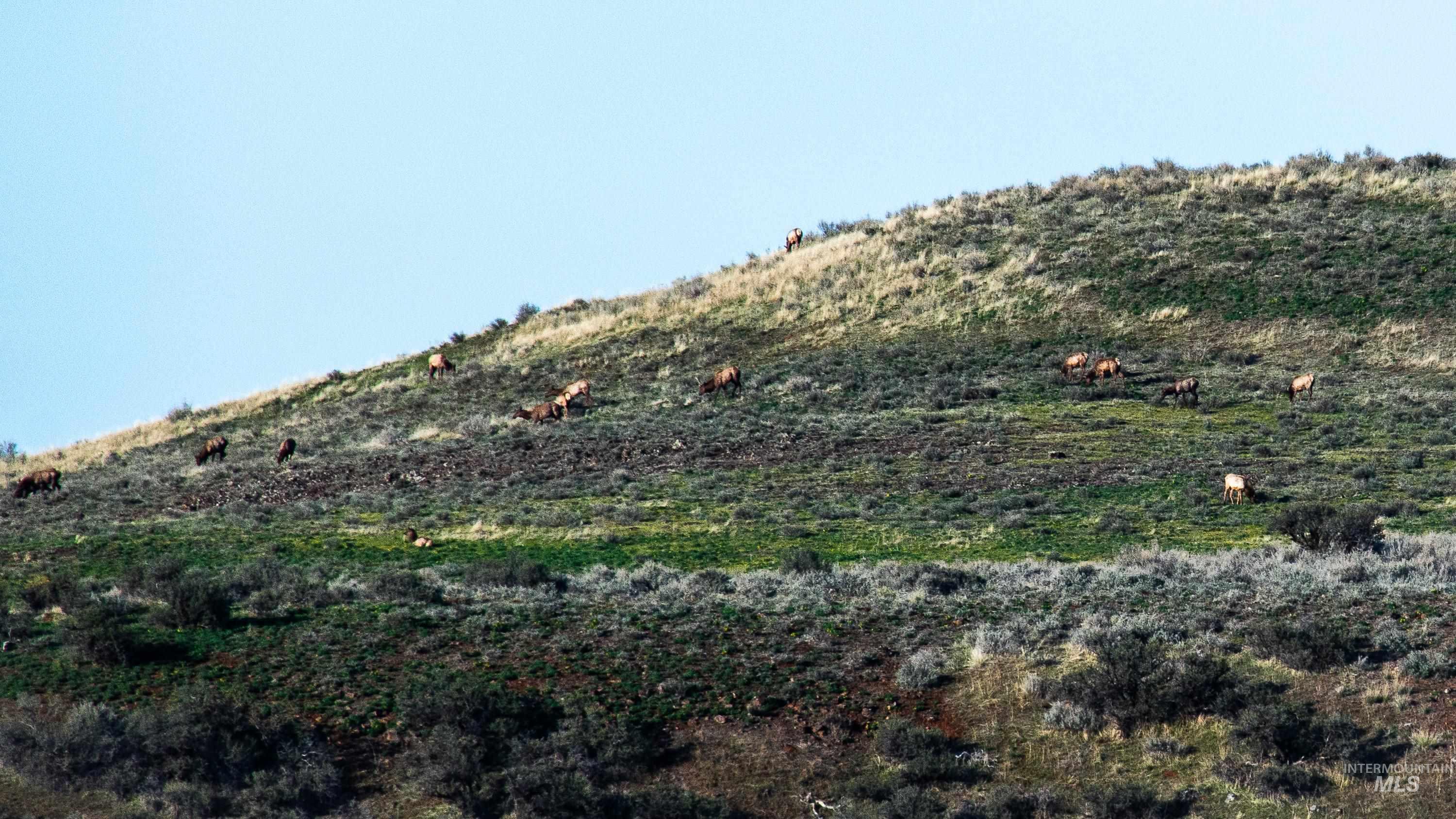 240 Indian Valley Road