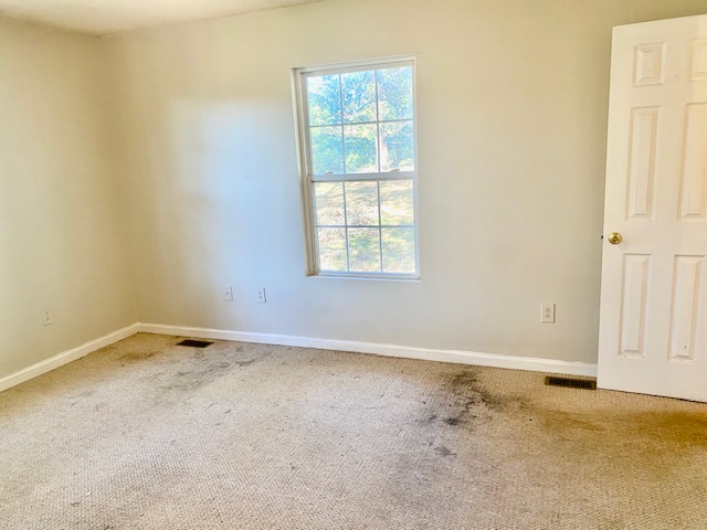 113 golden springs Lane