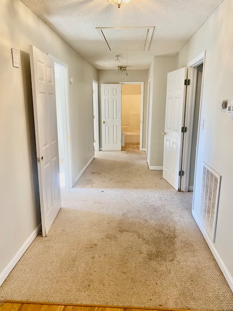 113 golden springs Lane