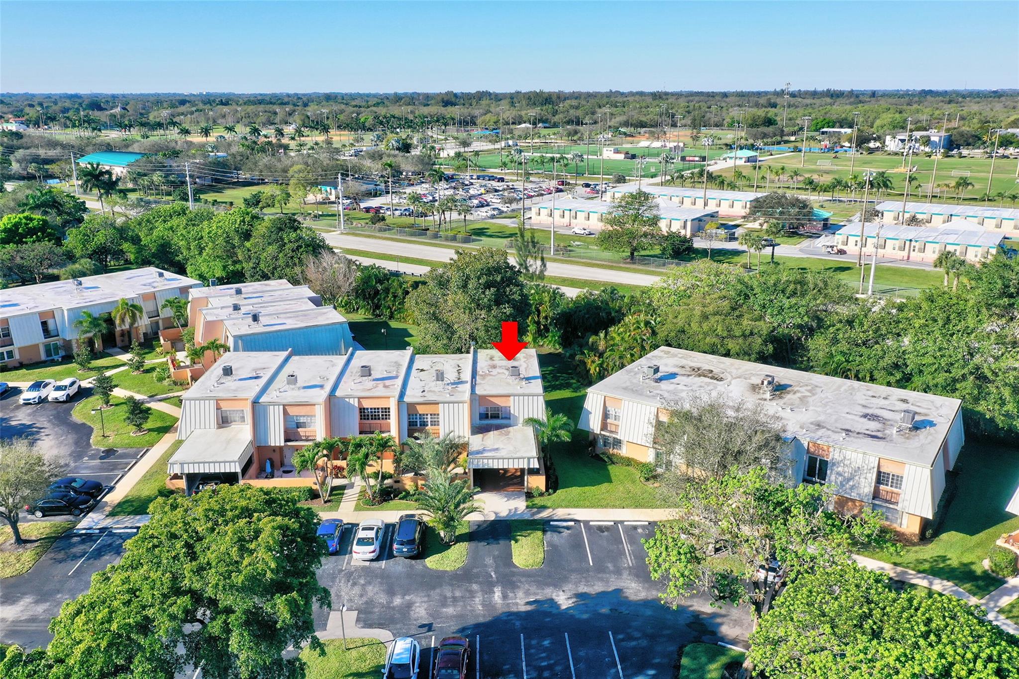 3621 Citrus Trce 5