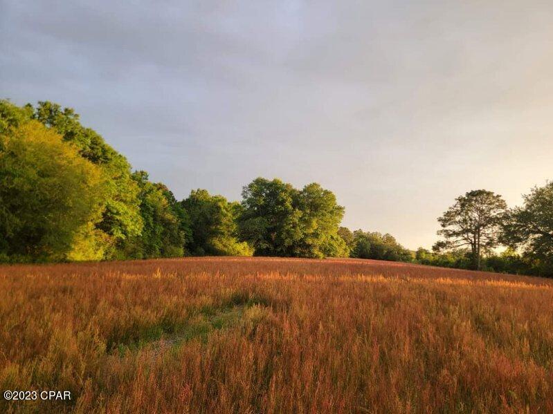 1801 Bradley Road Road