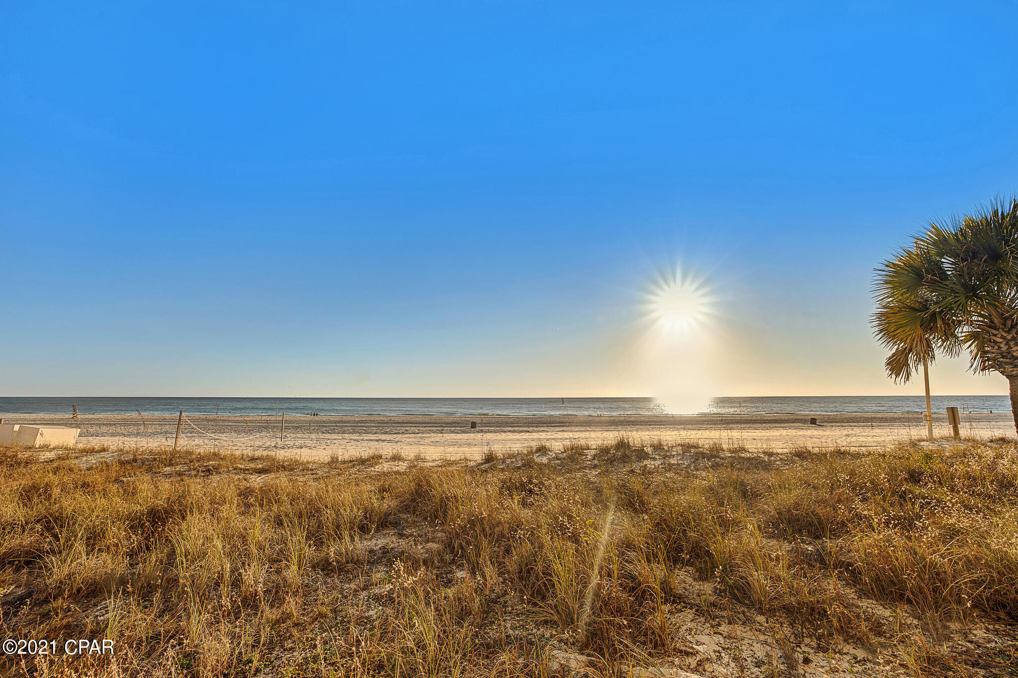 9850 S Thomas Drive 503E