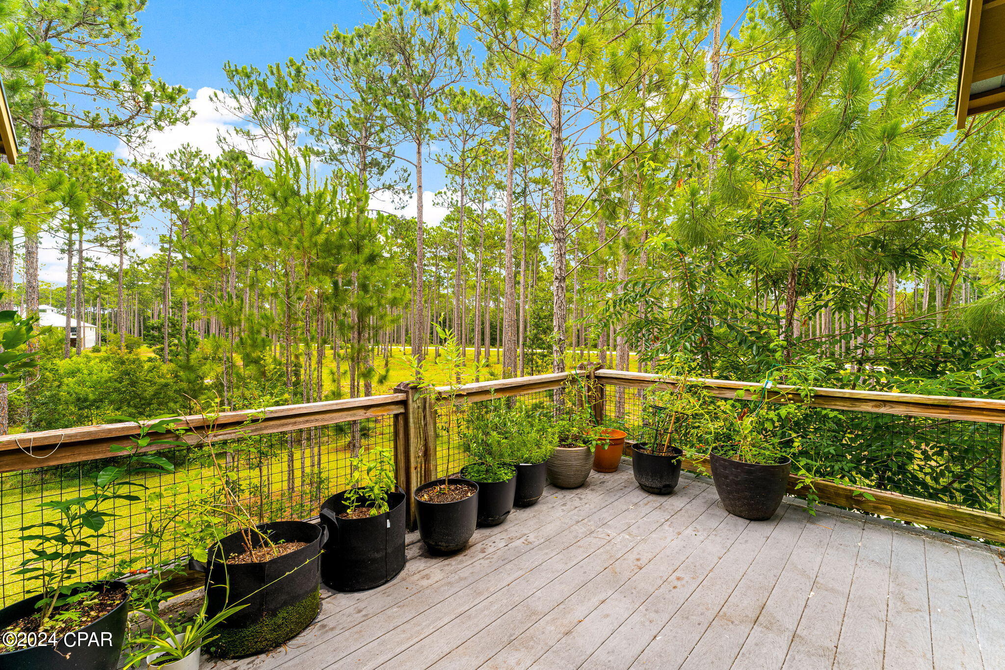 7707 Magnolia Pond Trail