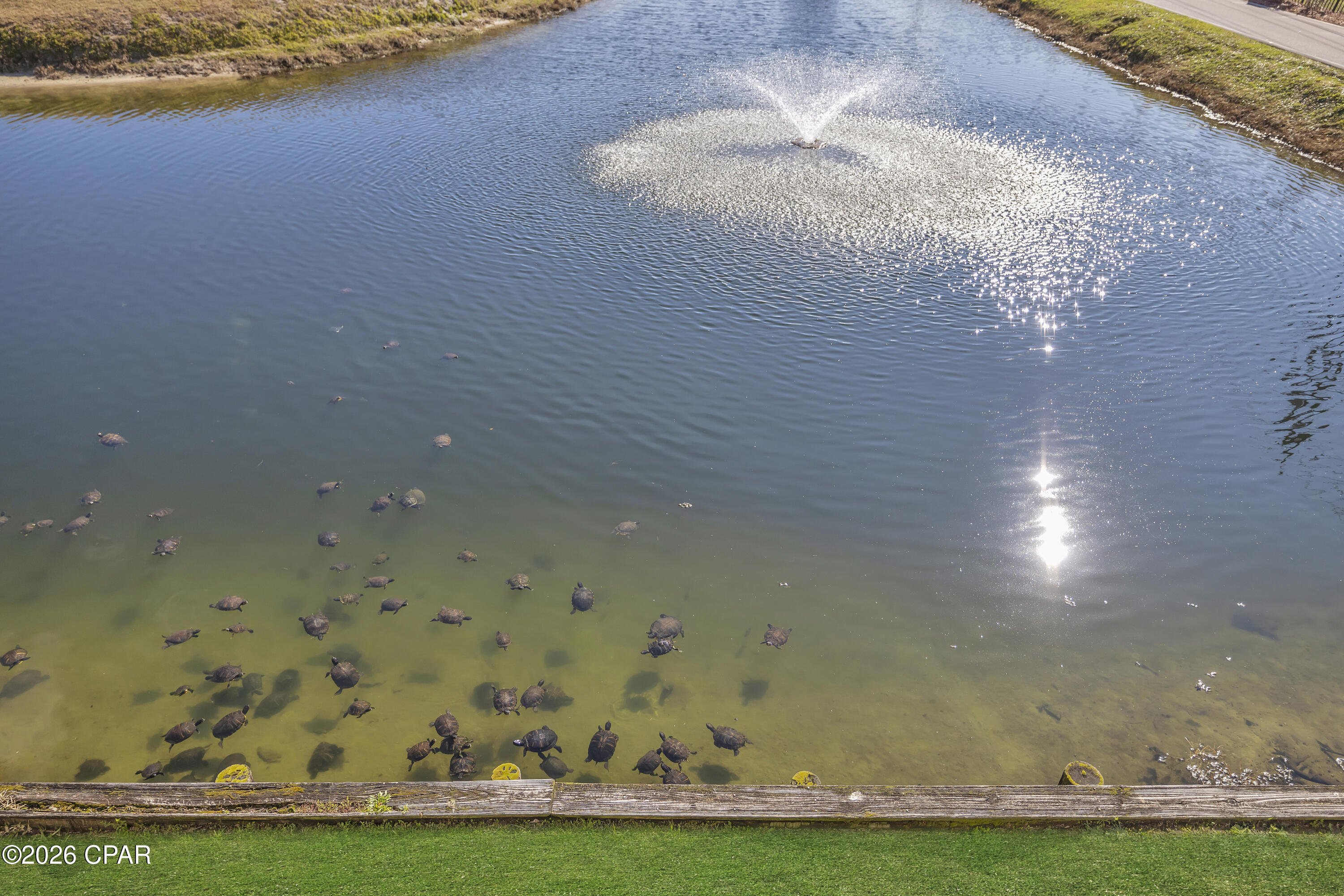 520 S Richard Jackson Boulevard 3111