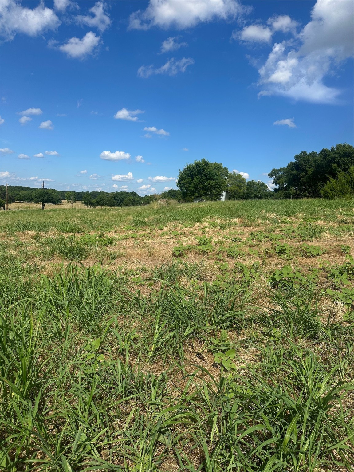 1650 County Road 609