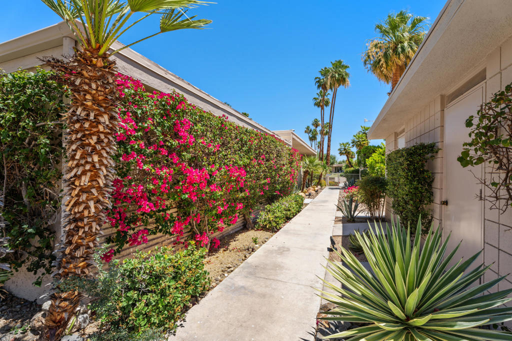 72267 Willow Street 1507