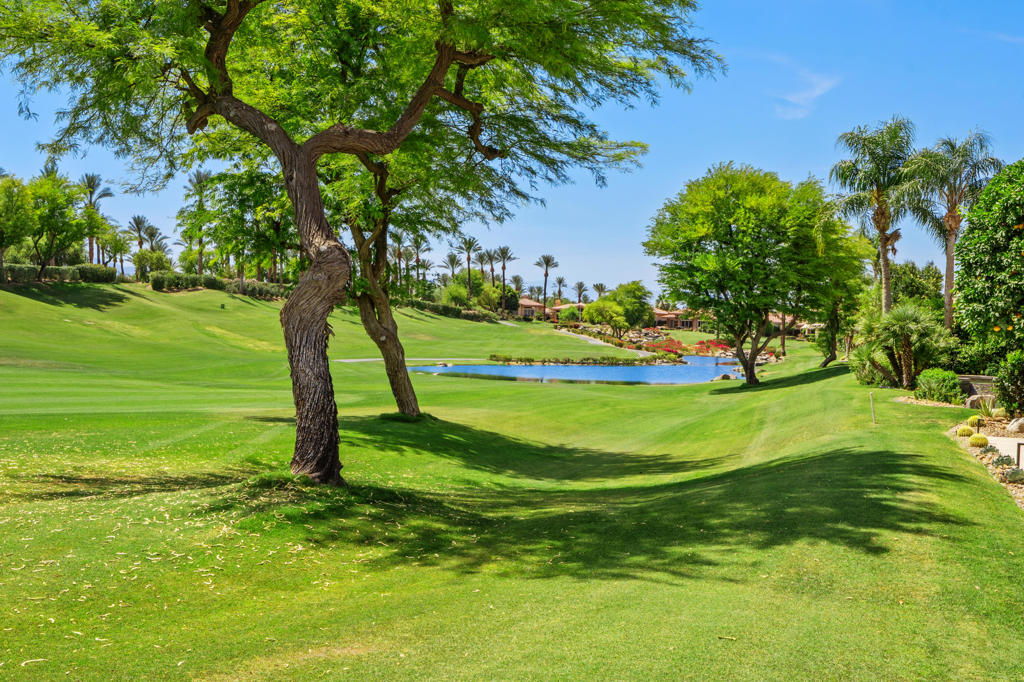 263 Desert Holly Drive