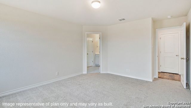 5302 Wild Boar Xing