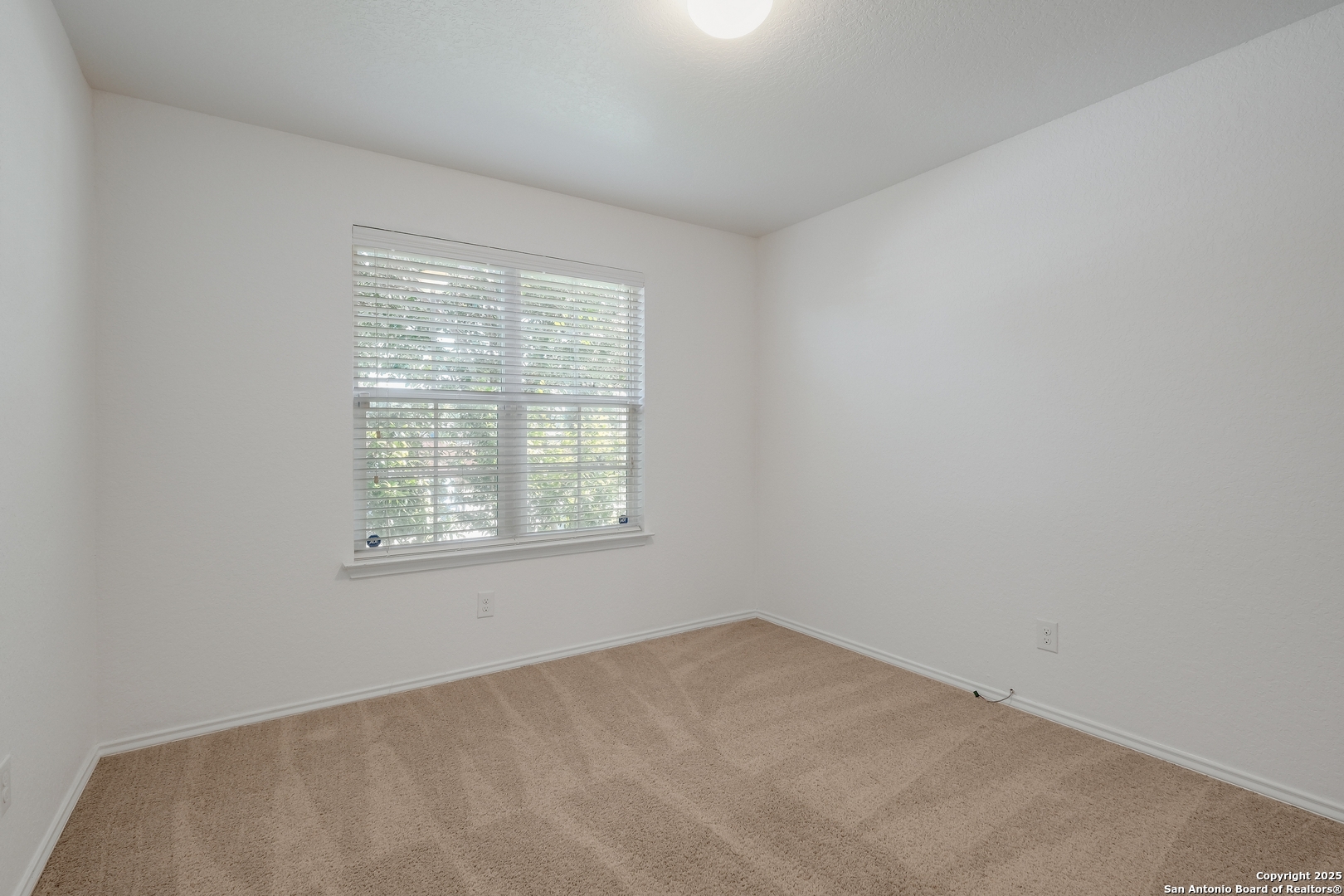 11750 Caraway