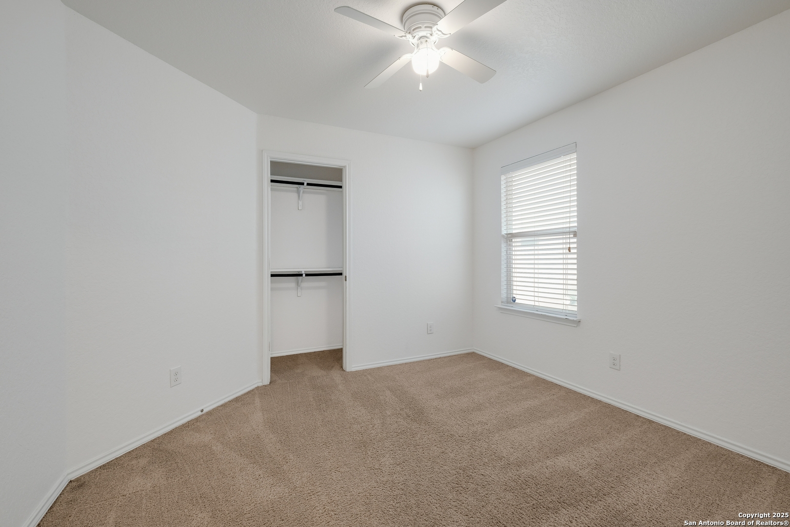 11750 Caraway