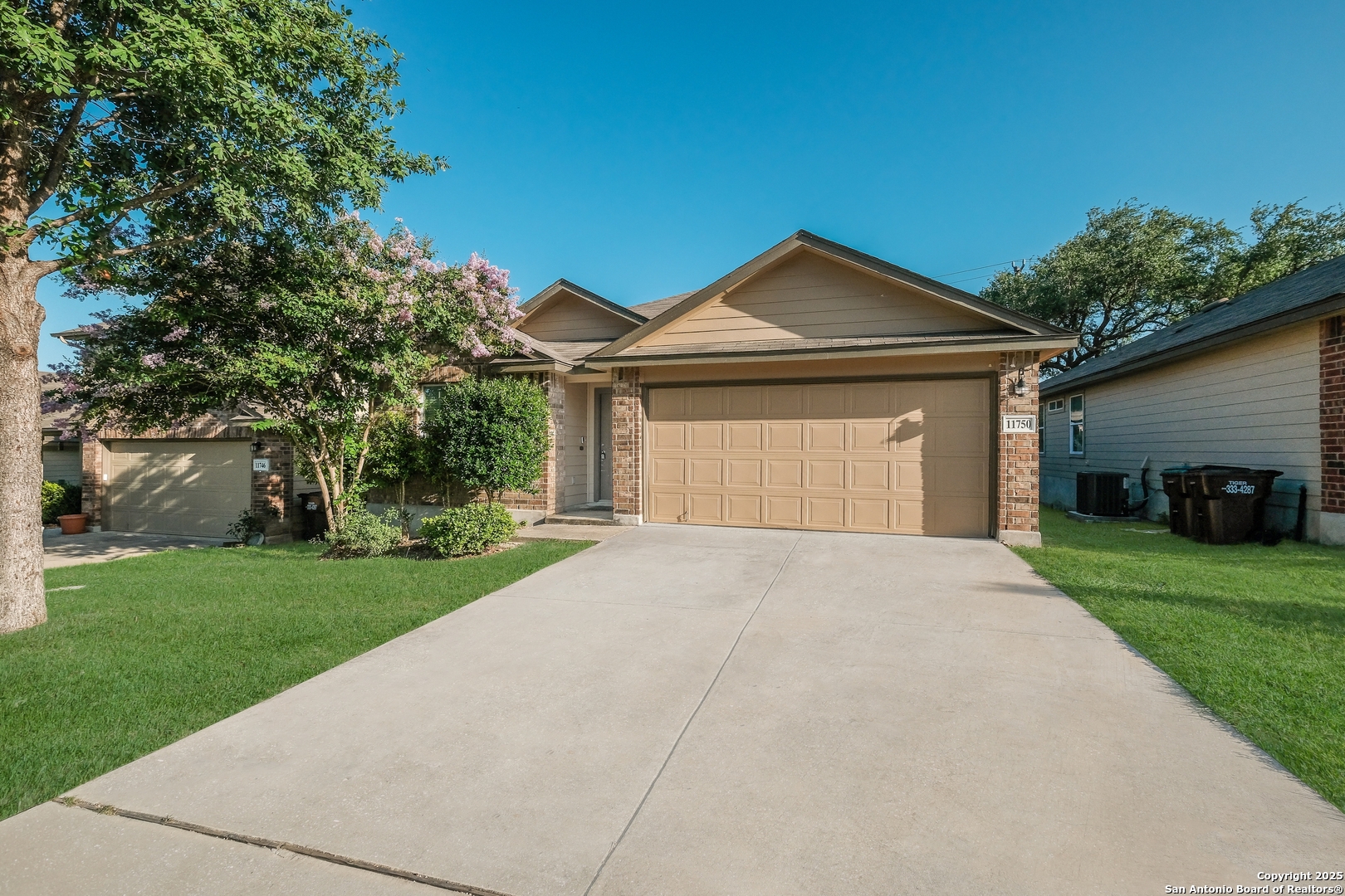 11750 Caraway
