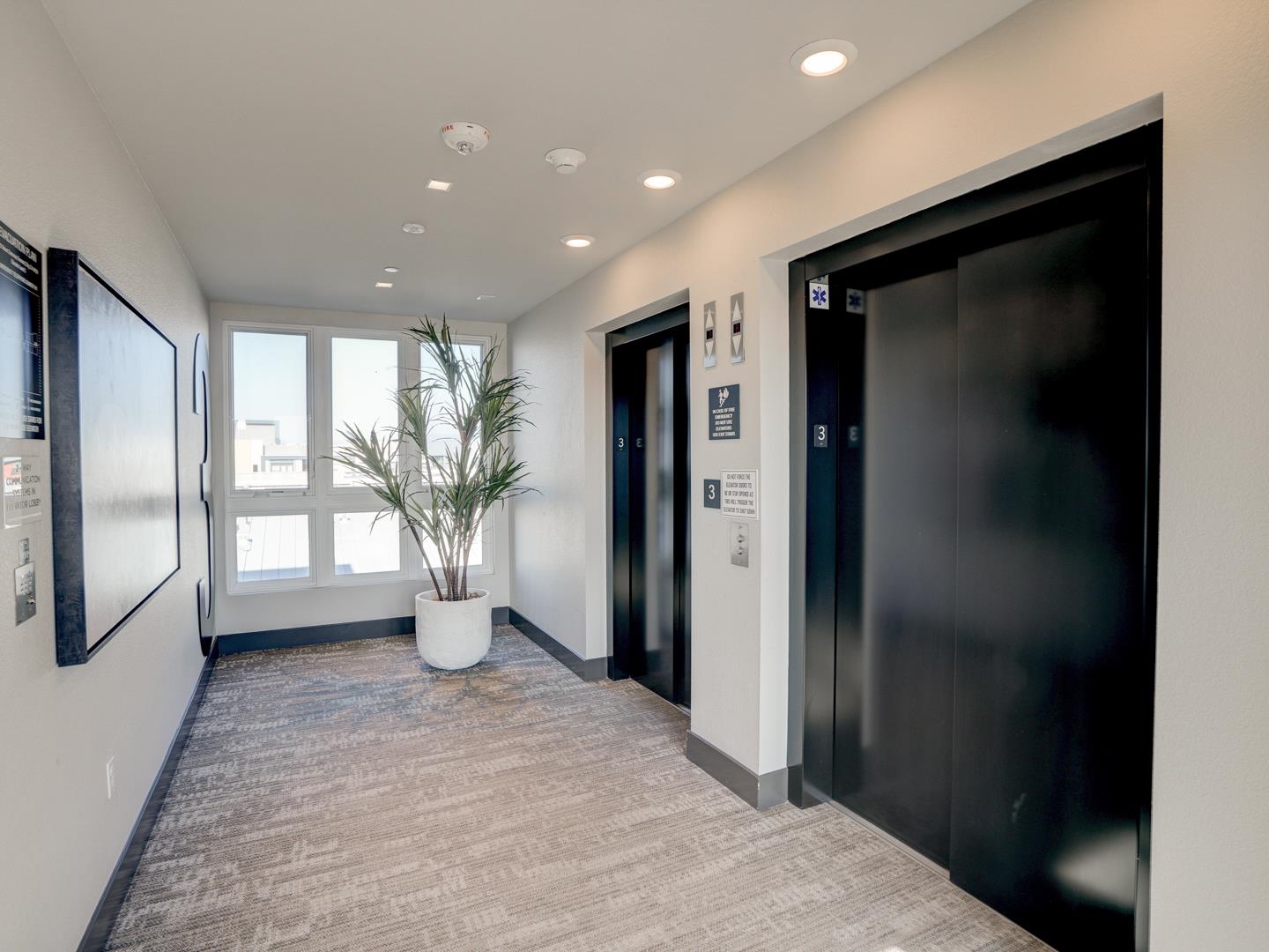 3512 Vision Cmn # 420