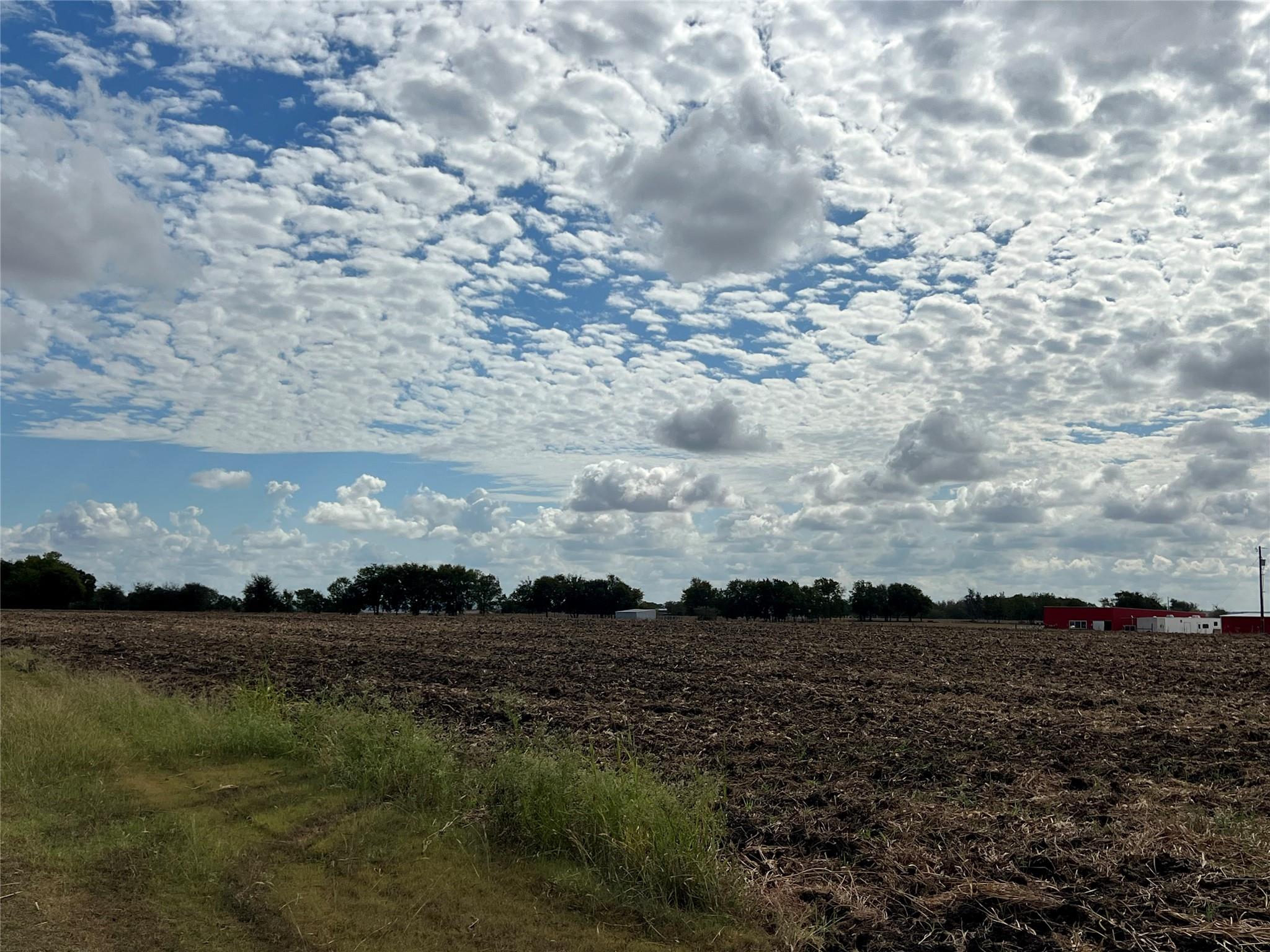 1295 County Road 432 RD
