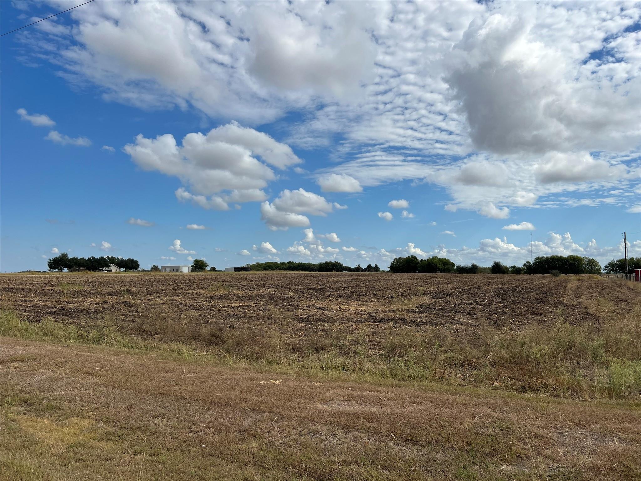 1295 County Road 432 RD
