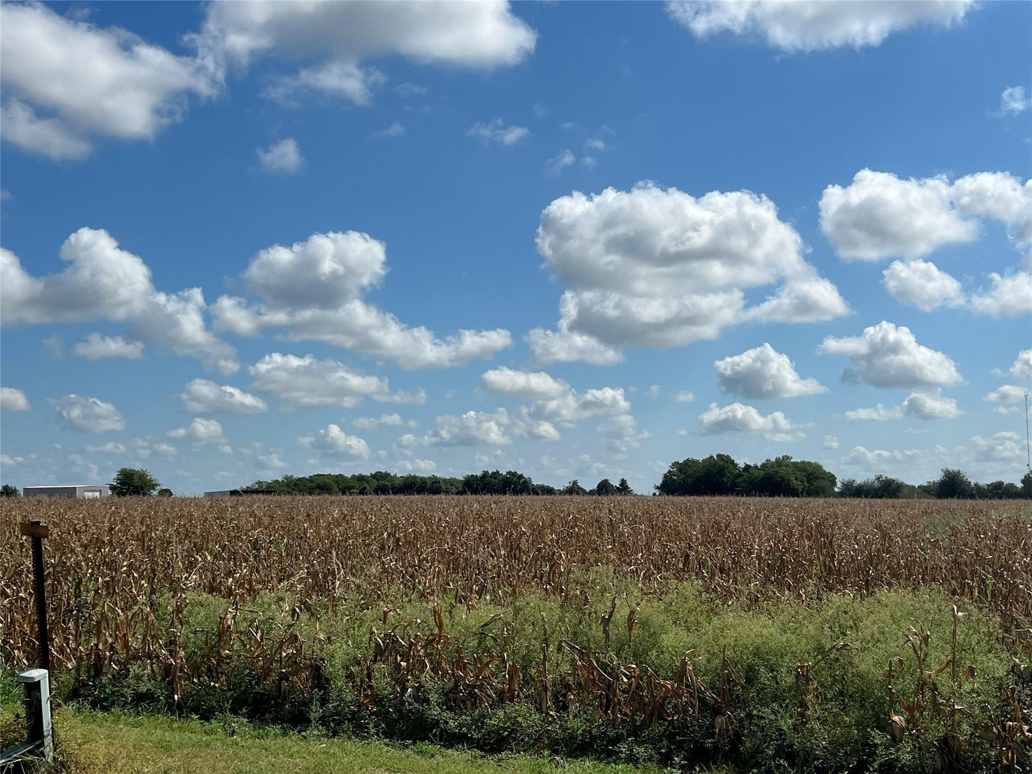 1295 County Road 432 RD
