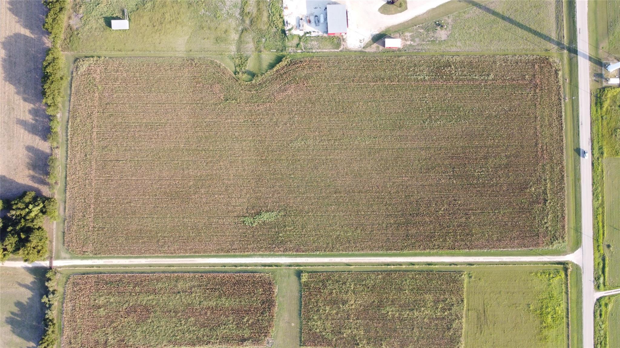 1295 County Road 432 RD