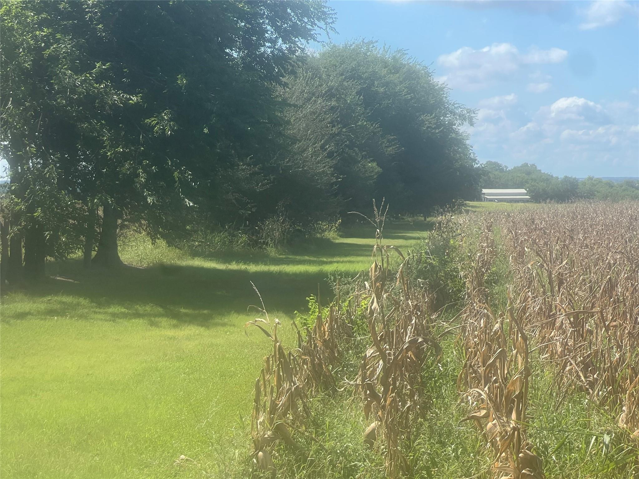 1295 County Road 432 RD