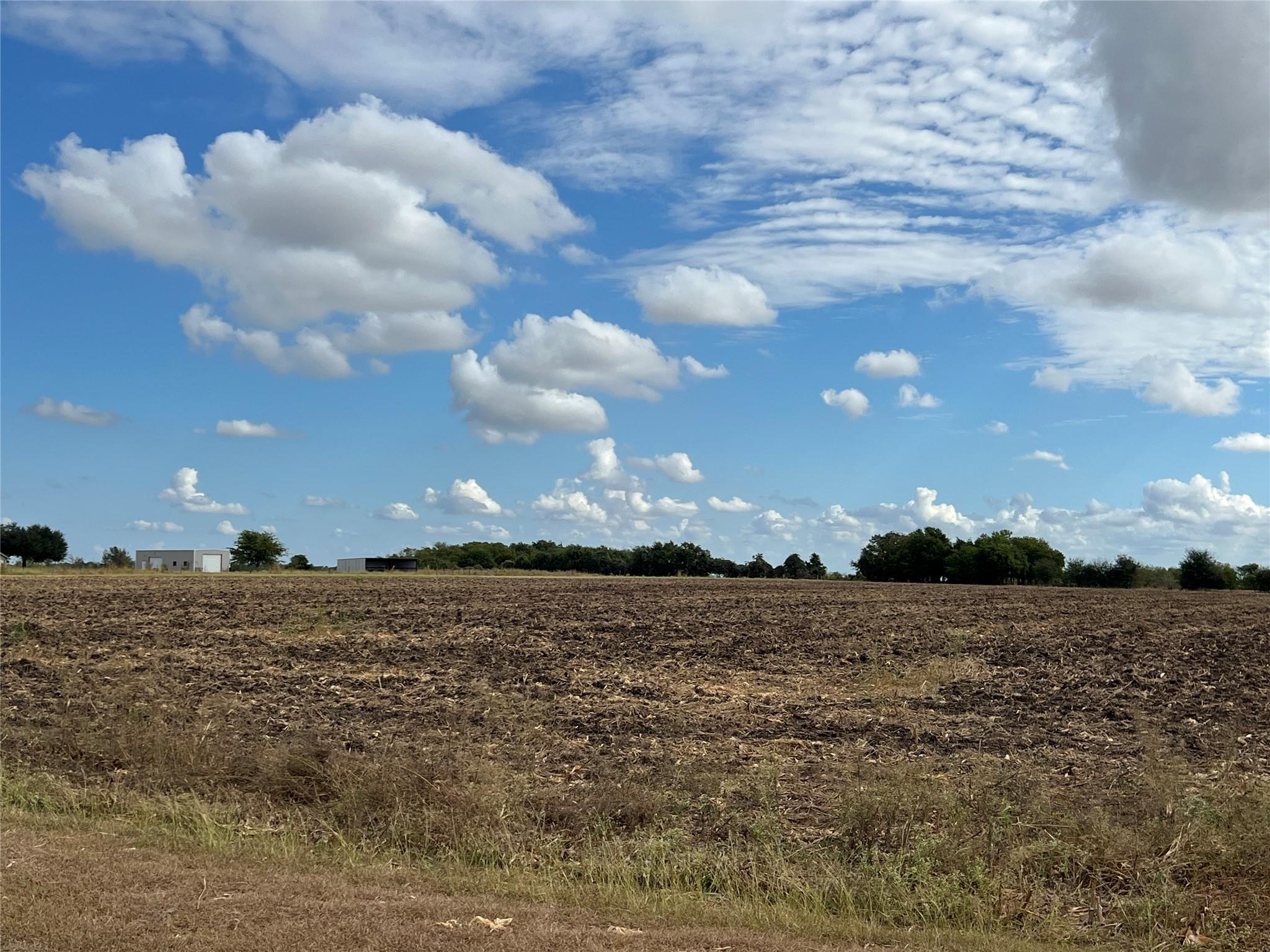 1295 County Road 432 RD