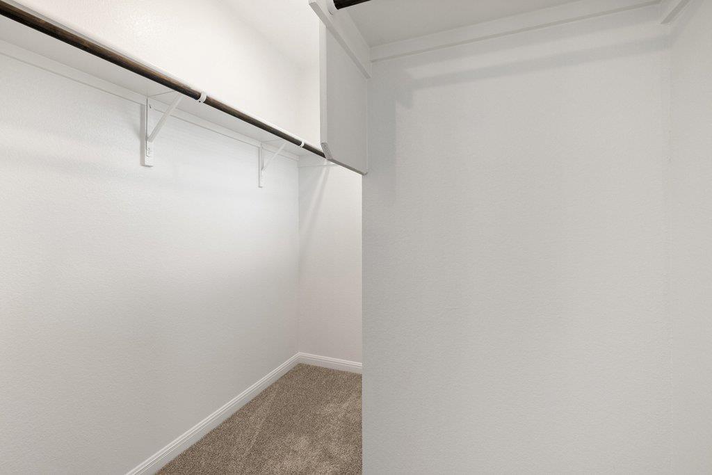 Empty walk-in closet with a dark hanging rod, shelf, and brown carpet.