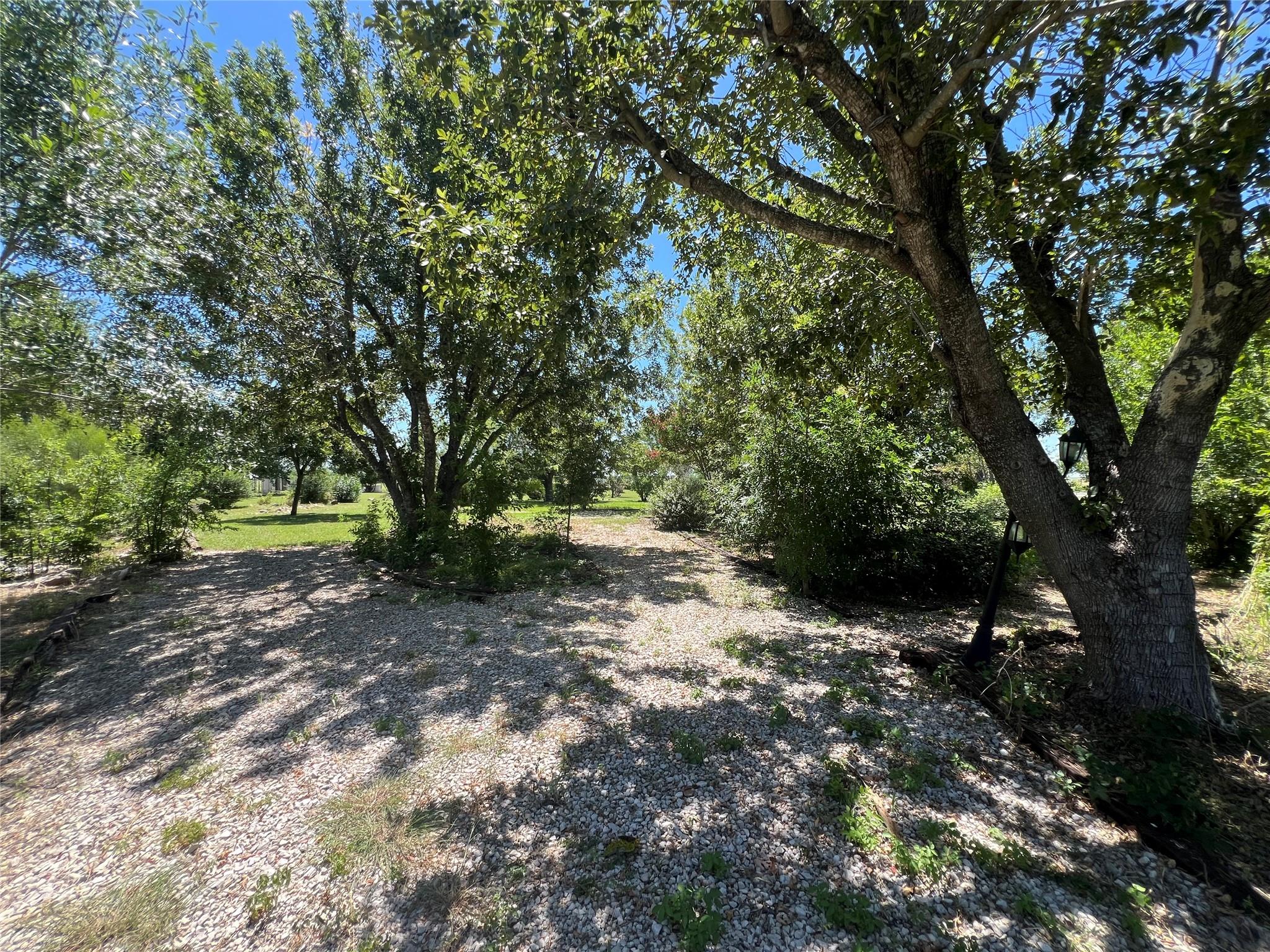 117 Cotton Rows LN