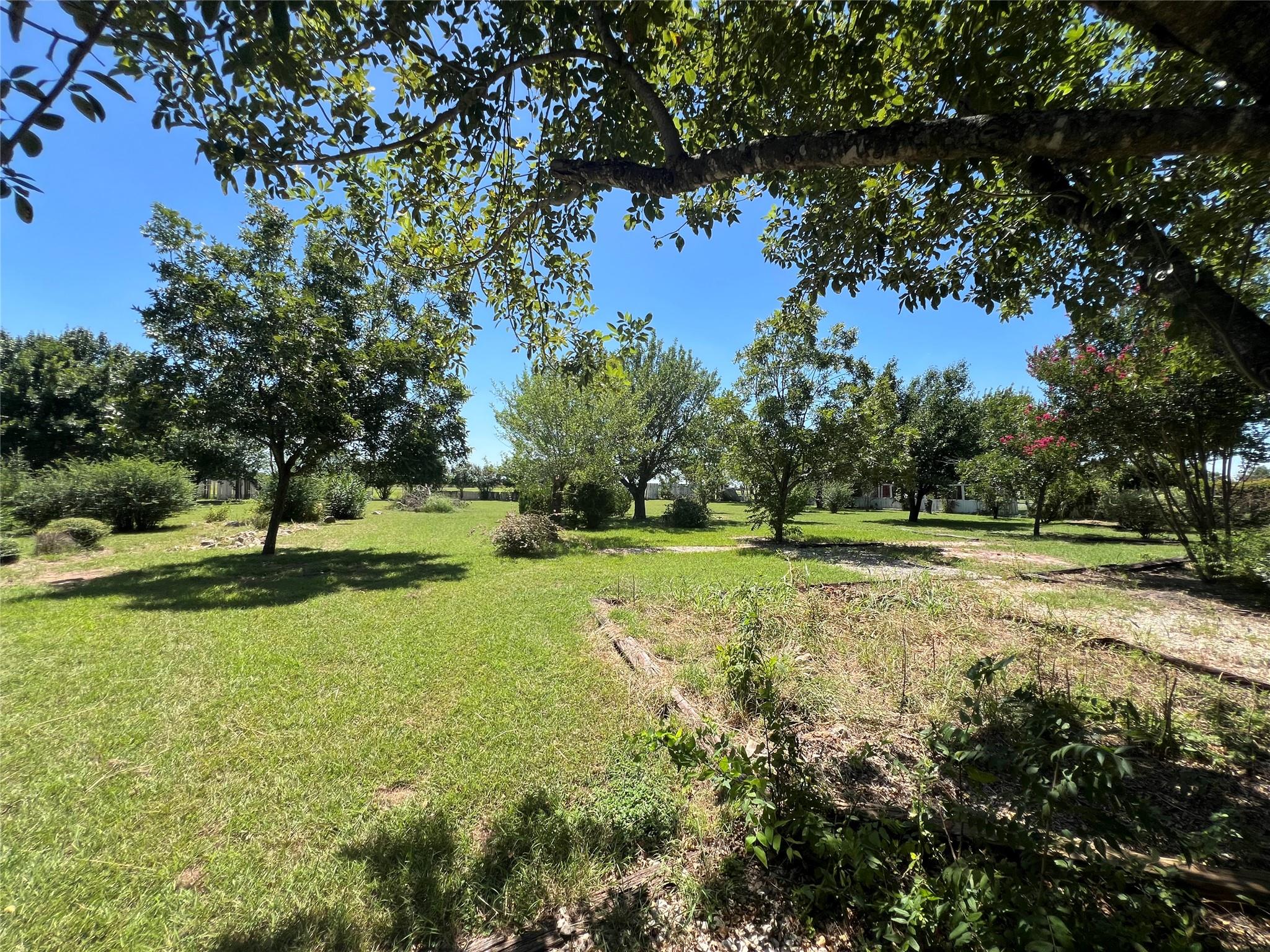 117 Cotton Rows LN