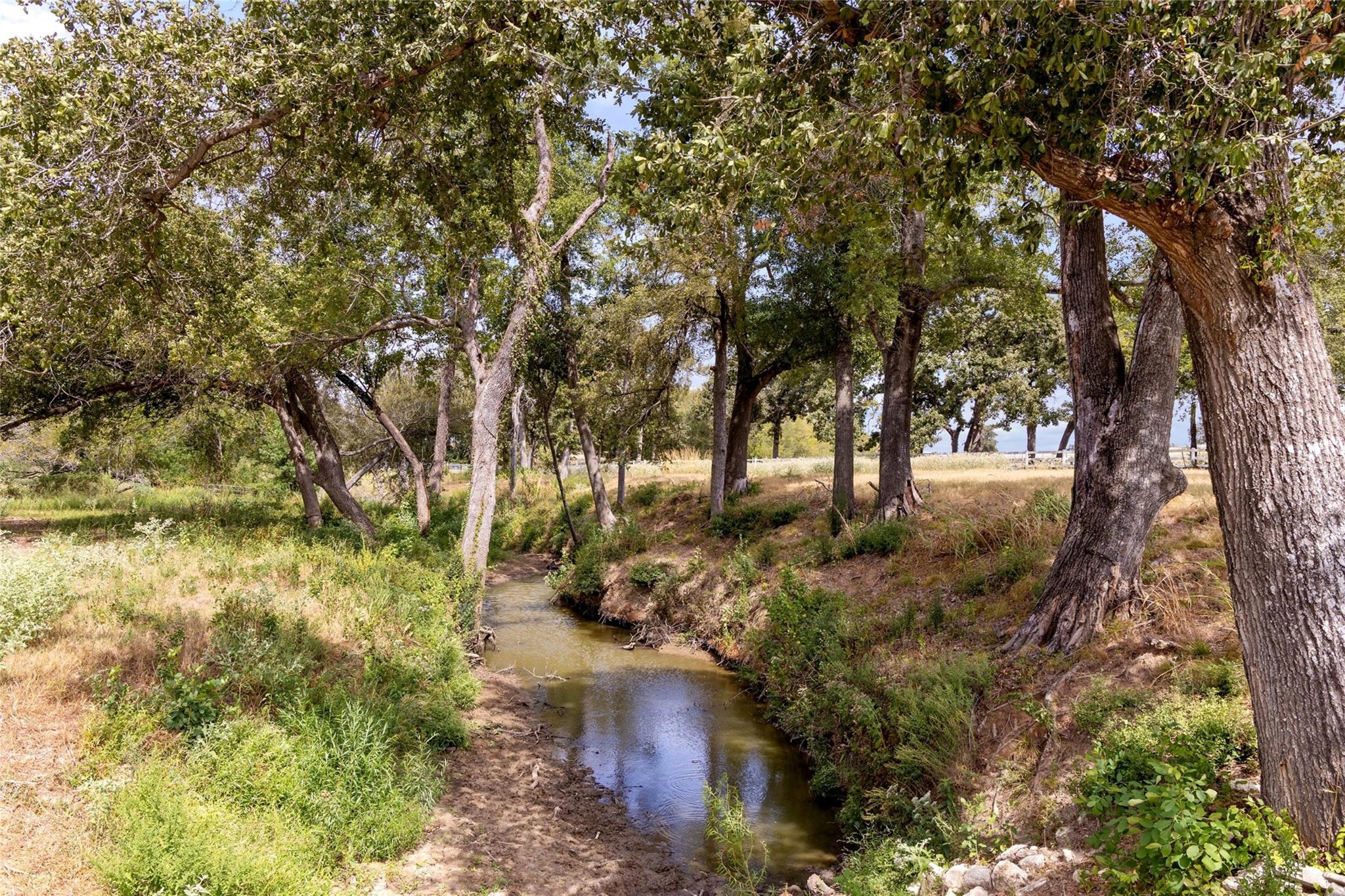 A creek winds beneath mature trees through grassy, wooded land.