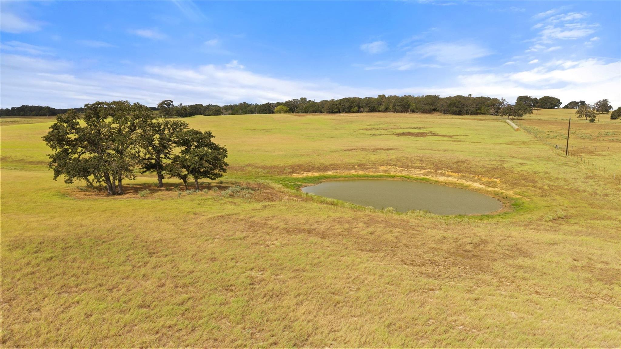 Open pasture with a pond and cluster of mature oak trees.