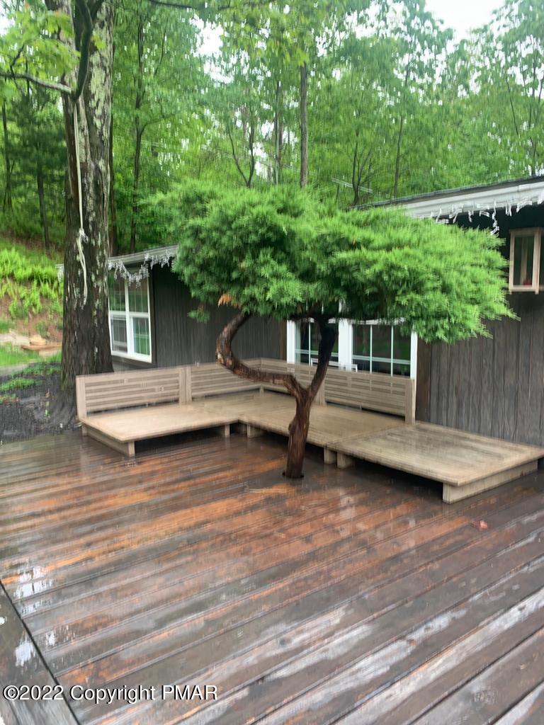 257 Buck Fever Trail