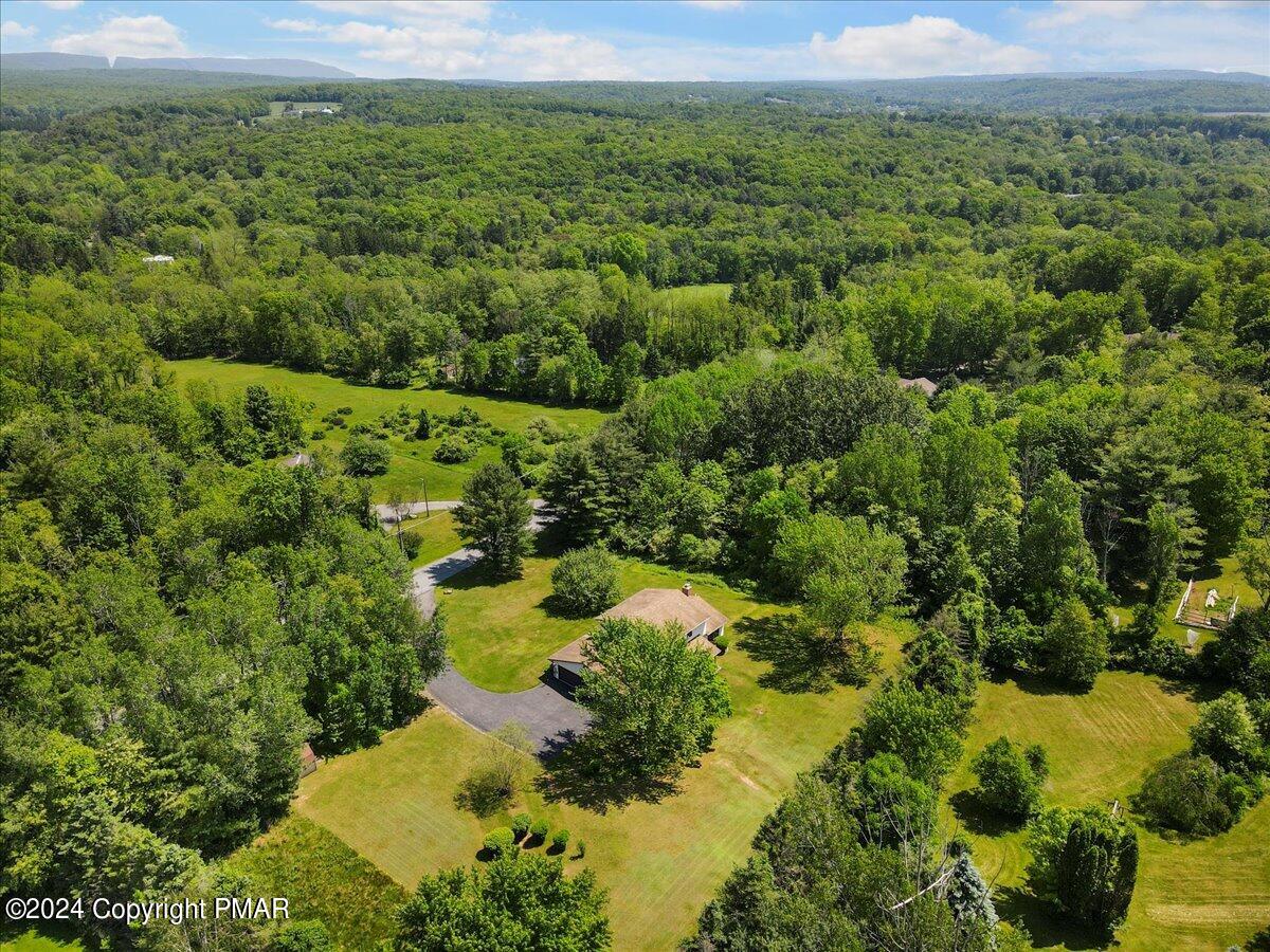 384 New York Boulevard