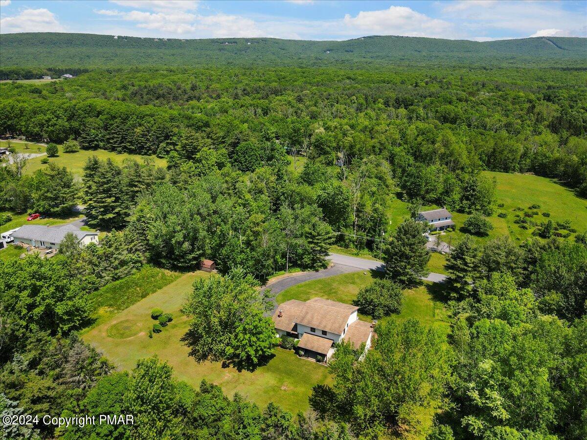 384 New York Boulevard