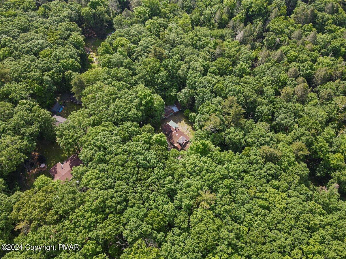 3126 Bear Swamp Road