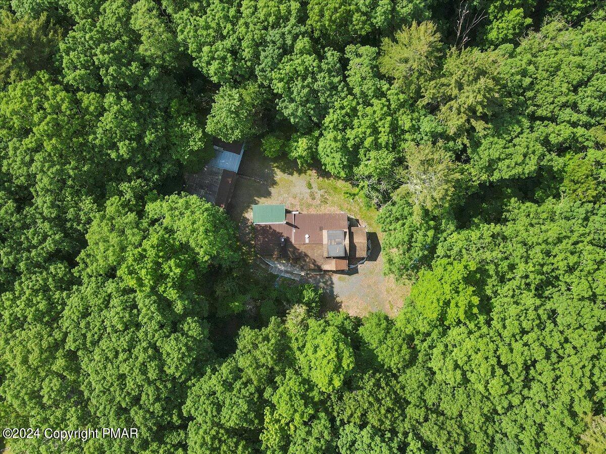 3126 Bear Swamp Road