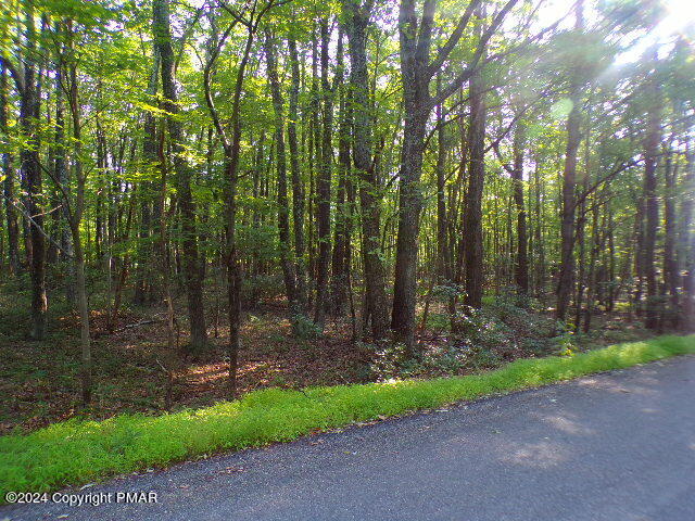 2505/2511 Green Forest Court