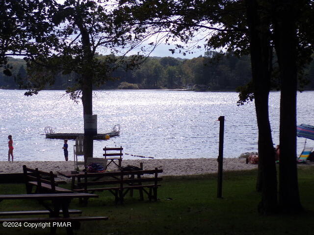 295 Lookout Point Road