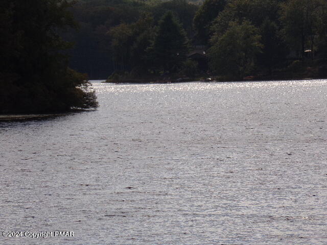 295 Lookout Point Road