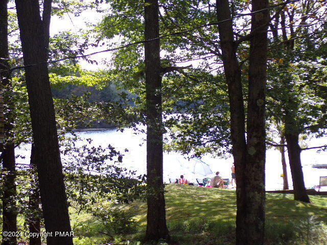 295 Lookout Point Road