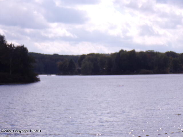 295 Lookout Point Road