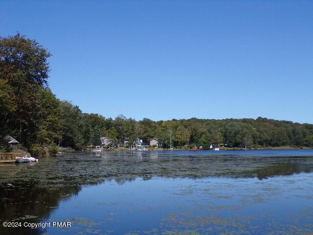 295 Lookout Point Road